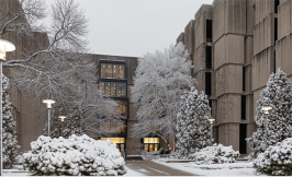 library winter